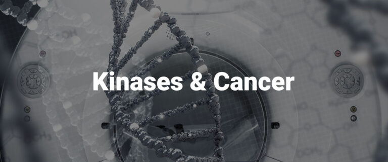 Kinases and Cancer: Understanding the Connection & Developing Targeted Therapies