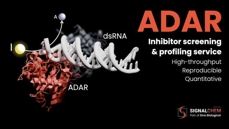 Exploring ADAR: SignalChem’s Innovative Platform for ADAR Inhibitor Screening
