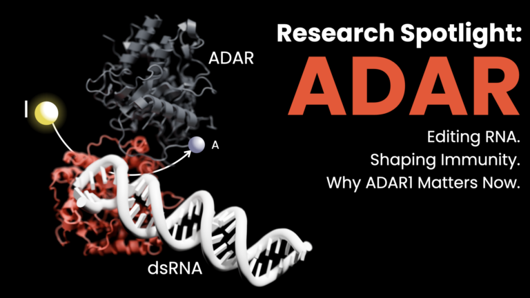 SCB’s High-Throughput ADAR Assay: Accelerating Discovery of RNA Editing Inhibitors