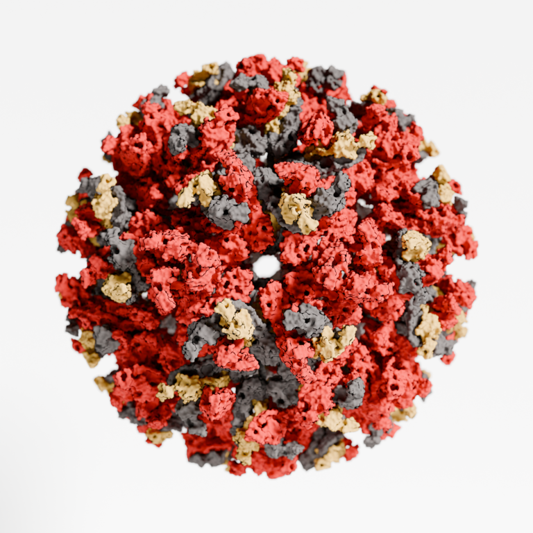 So what is the CHIKV virus?