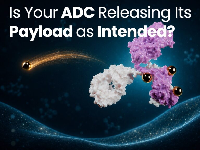 Is Your ADC Releasing Its Payload as Intended?