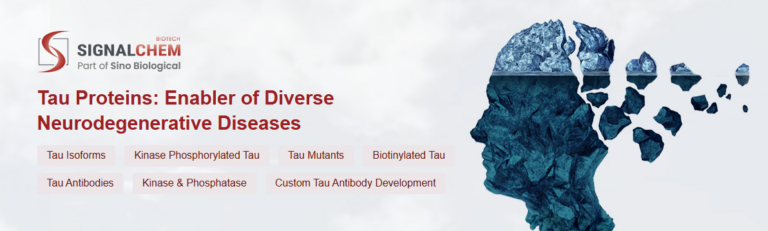 Decoding Tau: From Pathological Mechanisms to Next-Gen Therapeutics