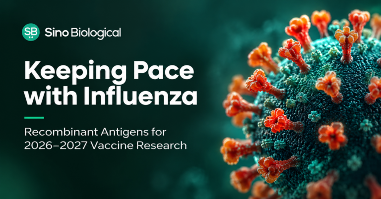 Keeping Pace with Influenza: Recombinant Antigens for 2026–2027 Vaccine Research